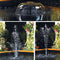 EasyClear 9000 filter med pumpe og springvand fra Koishopper