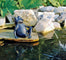 Figur til havedams bassin koishopper