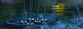 Water Starlet - Vandkunst til havedammen