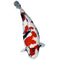 superkoi koi fisk