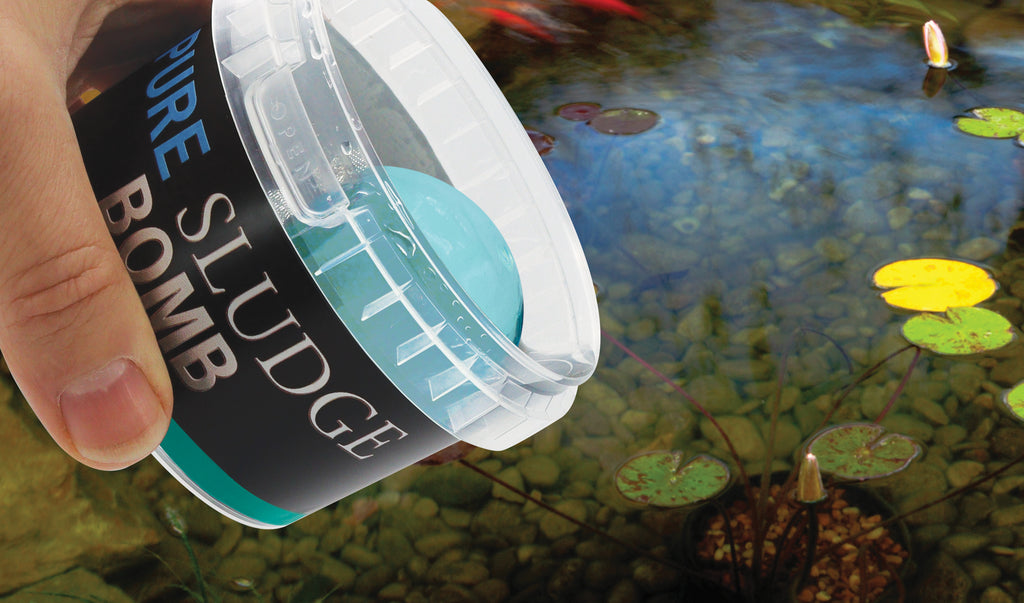 Få en ren sund og klar havedam med Pure Pond Bomb & Pure Sludge Bomb